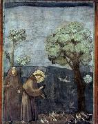 GIOTTO di Bondone Sermon to the Birds oil painting